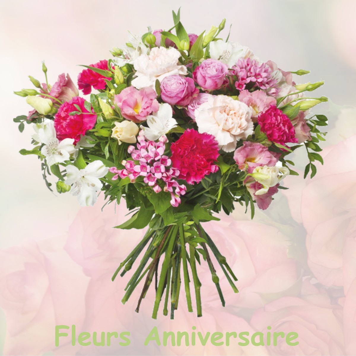 fleurs anniversaire VILLARS-FONTAINE